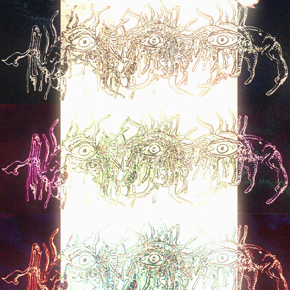 GIF animata